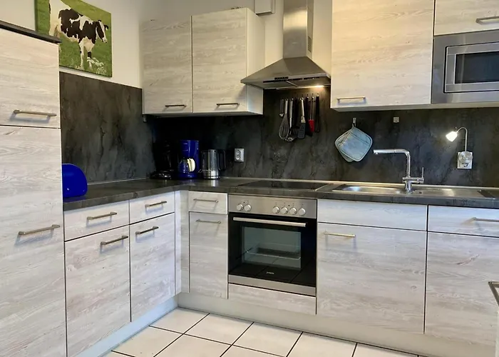 Modern With Garden * Sint Maartensvlotbrug