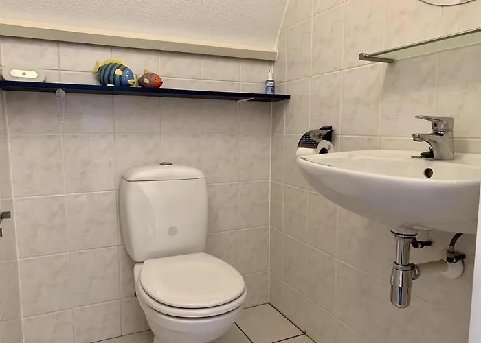 Modern With Garden *